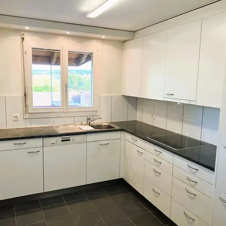 Apartment With View And Balcony In The Center Of Hwa Zurich
