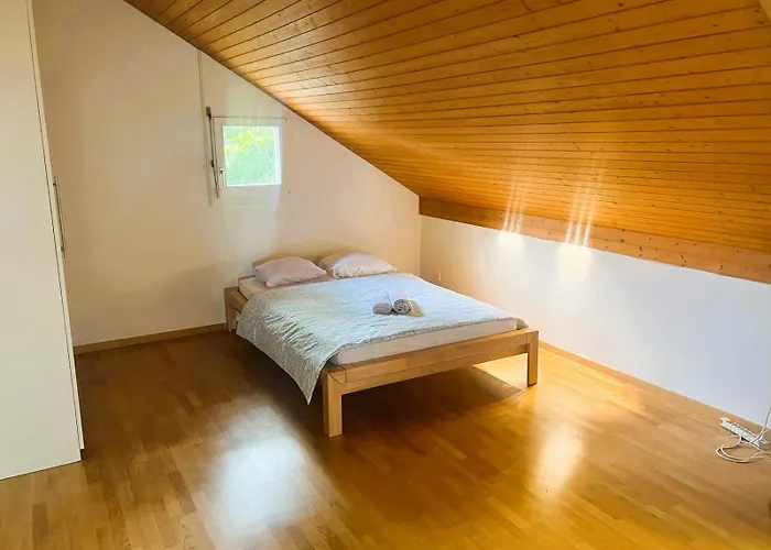 Large Flats, Hwa - Self Checkin Apartment Zurich