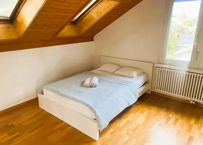 Large Flats, Hwa - Self Checkin Apartment Zurich