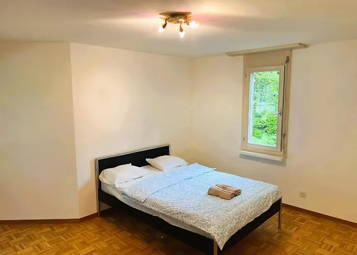 Apartment Large Flats, Hwa - Self Checkin Zürich