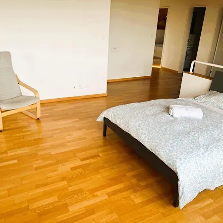 With View And Balcony In The Center Of Hwa * Zürich