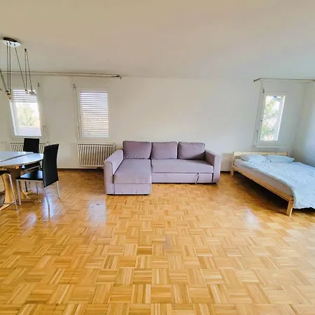 With View And Balcony In The Center Of Hwa * Zürich