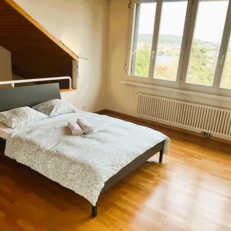 With View And Balcony In The Center Of Hwa Apartment Zürich