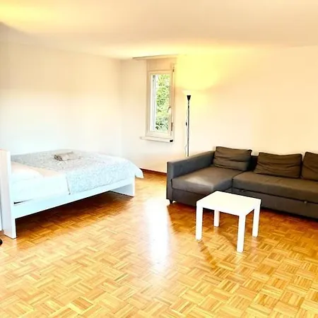 Apartments Close To Lake In The Center Of Zurich Hwa - Self Checkin *