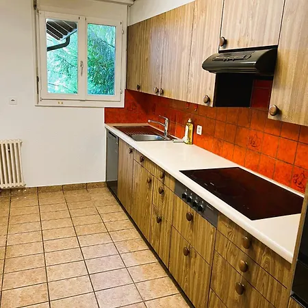 Apartments Close To Lake In The Center Of Zurich Hwa - Self Checkin Апартаменти