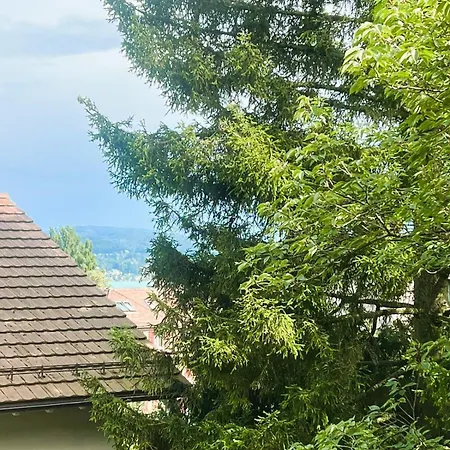Apartments Close To Lake In The Center Of Zurich Hwa - Self Checkin Апартаменти *